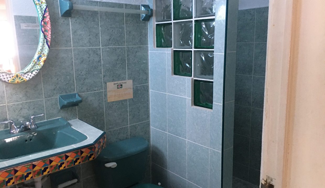 DFAE054E-252C-436A-9EC5-58131356083B